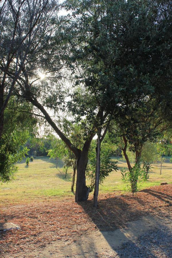 Villa Antonella فيلاّسيمِيوس المظهر الخارجي الصورة